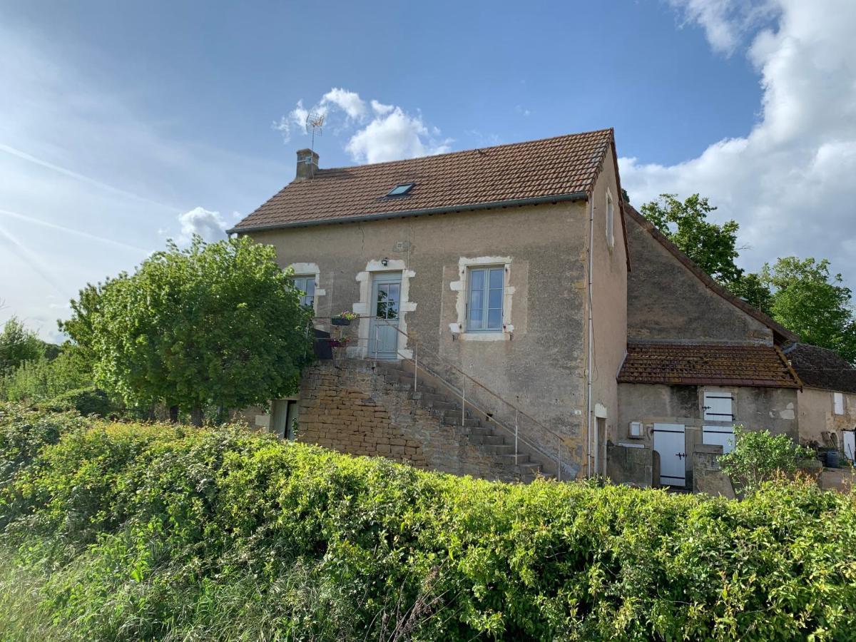 Chateau Du Mauny, Gites Et Chambres D'Hotes En Bourgogne Rosey Exterior photo