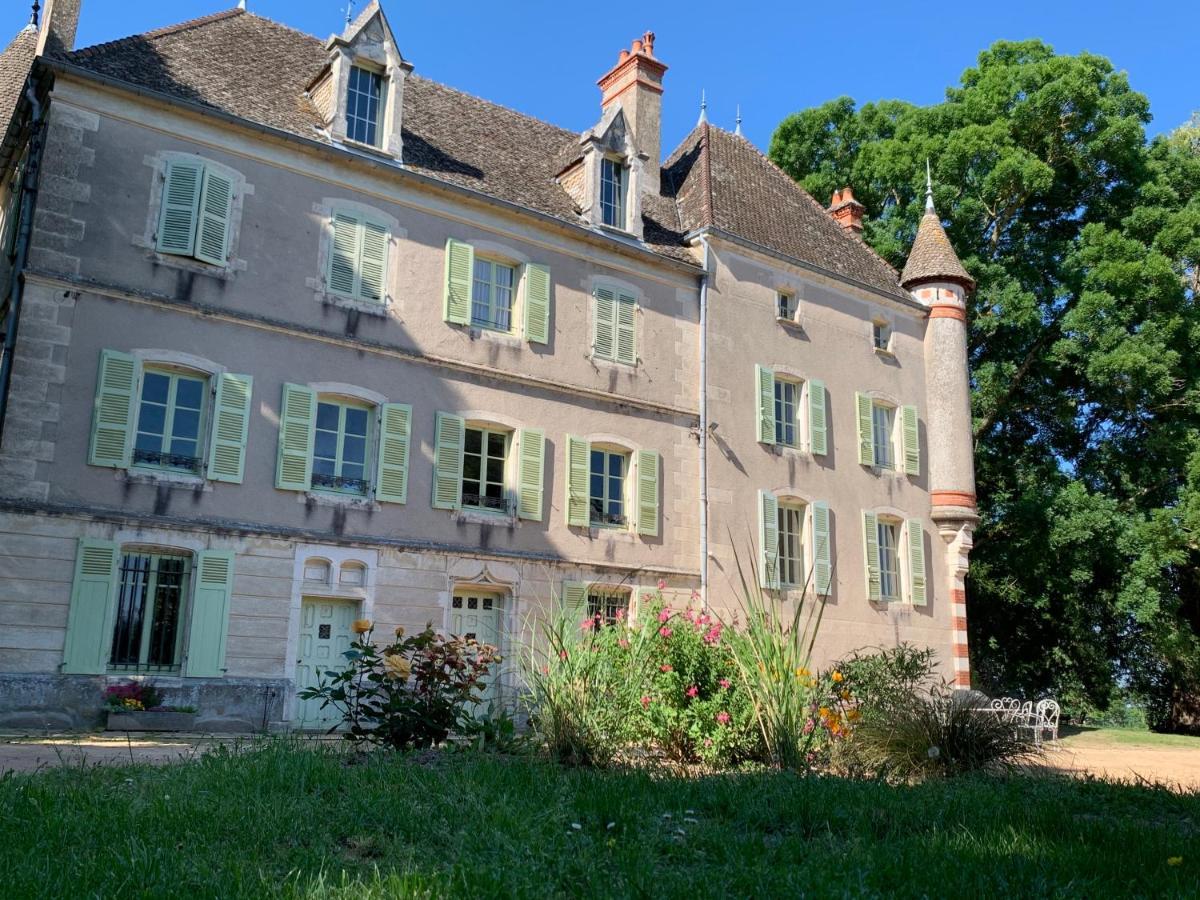 Chateau Du Mauny, Gites Et Chambres D'Hotes En Bourgogne Rosey Exterior photo