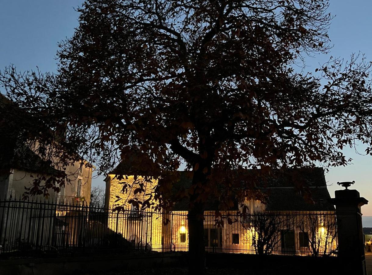 Chateau Du Mauny, Gites Et Chambres D'Hotes En Bourgogne Rosey Exterior photo