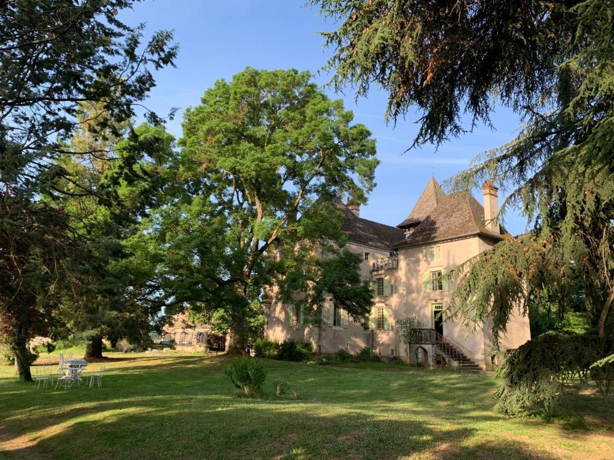 Chateau Du Mauny, Gites Et Chambres D'Hotes En Bourgogne Rosey Exterior photo