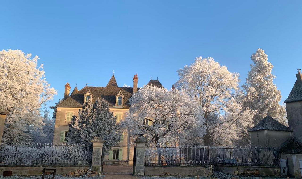 Chateau Du Mauny, Gites Et Chambres D'Hotes En Bourgogne Rosey Exterior photo
