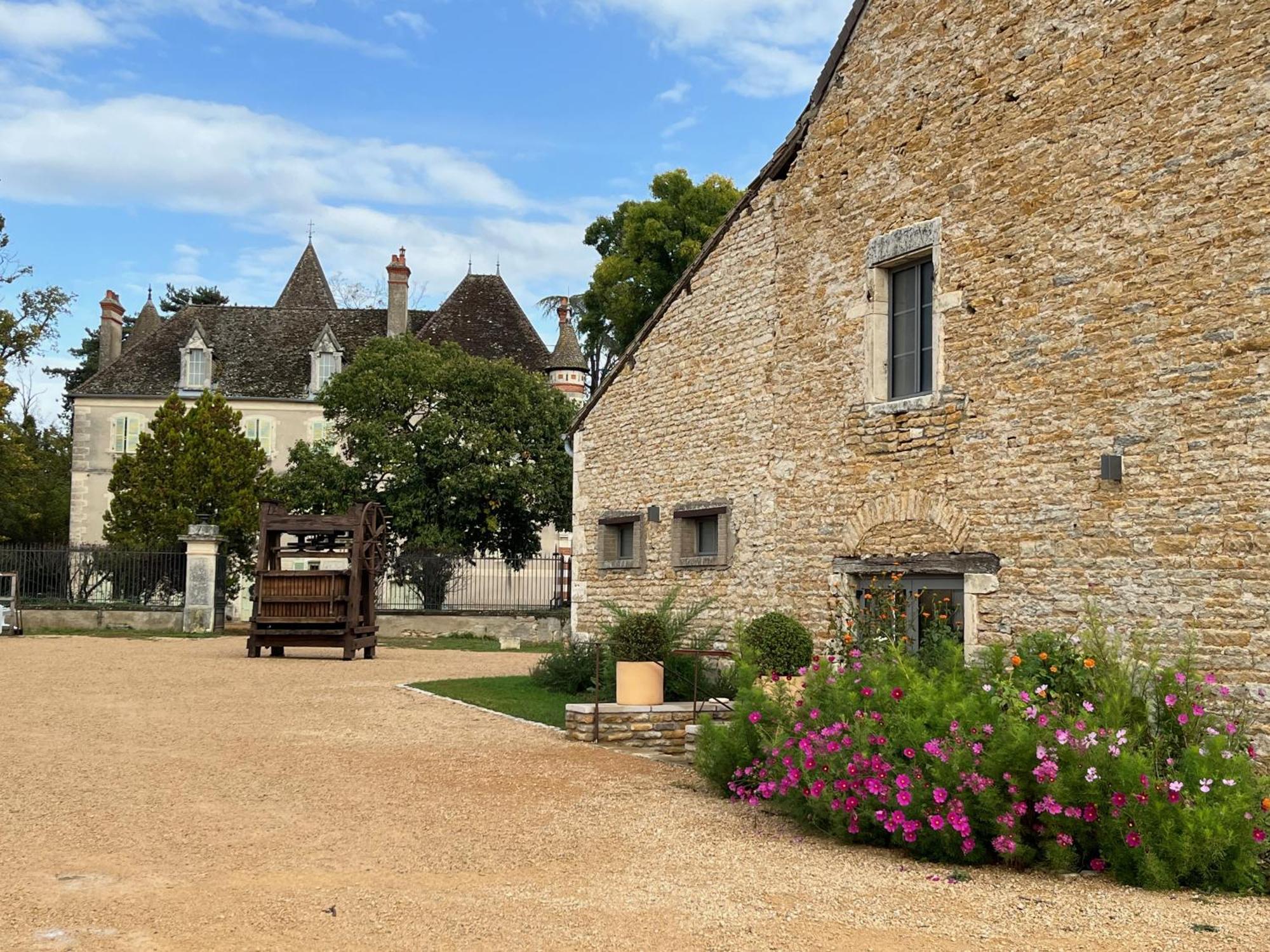 Chateau Du Mauny, Gites Et Chambres D'Hotes En Bourgogne Rosey Exterior photo